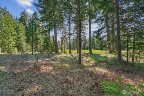 50 Larkspur Loop Cle Elum WA 98922