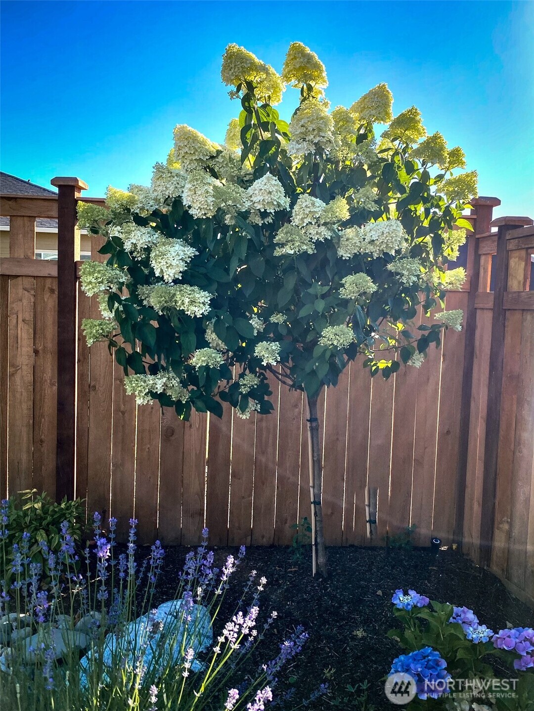 18102 151st St E Bonney Lake WA 98391