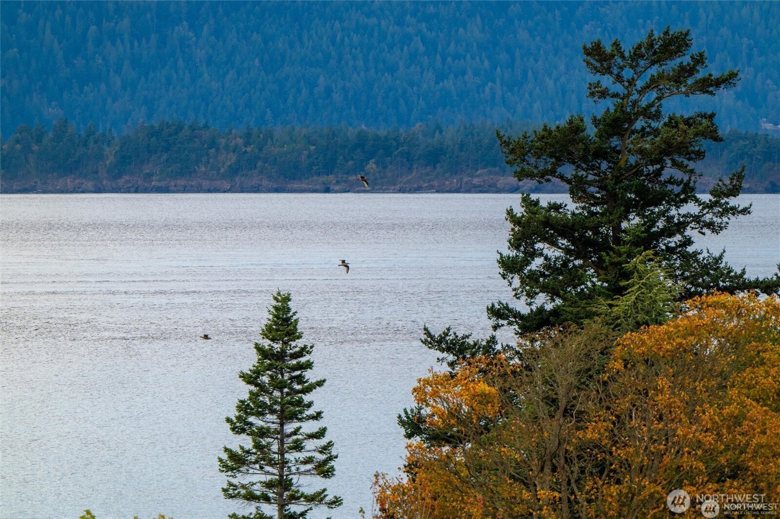 2383 W Shore Drive Lummi Island WA 98262
