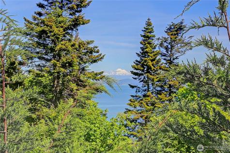 366 Samanthia Lane Camano Island WA 98282