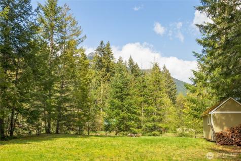 123 Butter Creek Lane Packwood WA 98361
