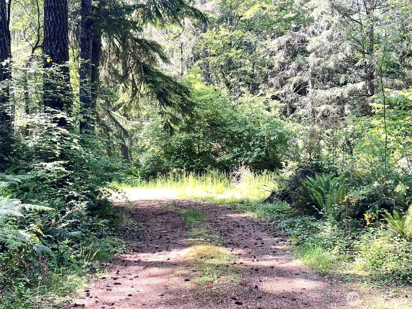 20 E Firwood Heights Lane Belfair WA 98528
