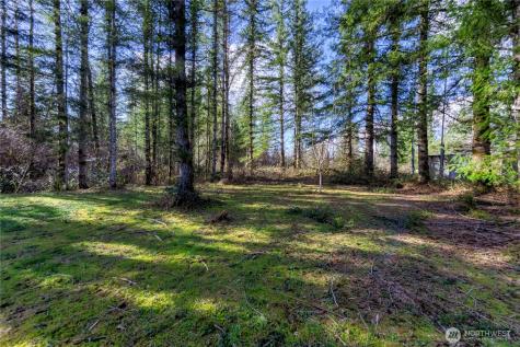 40815 Dorman Road Gold Bar WA 98251