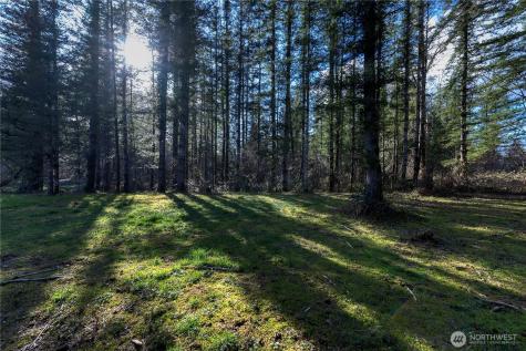 40815 Dorman Road Gold Bar WA 98251