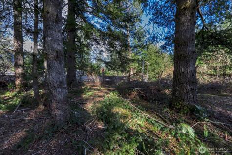 40815 Dorman Road Gold Bar WA 98251