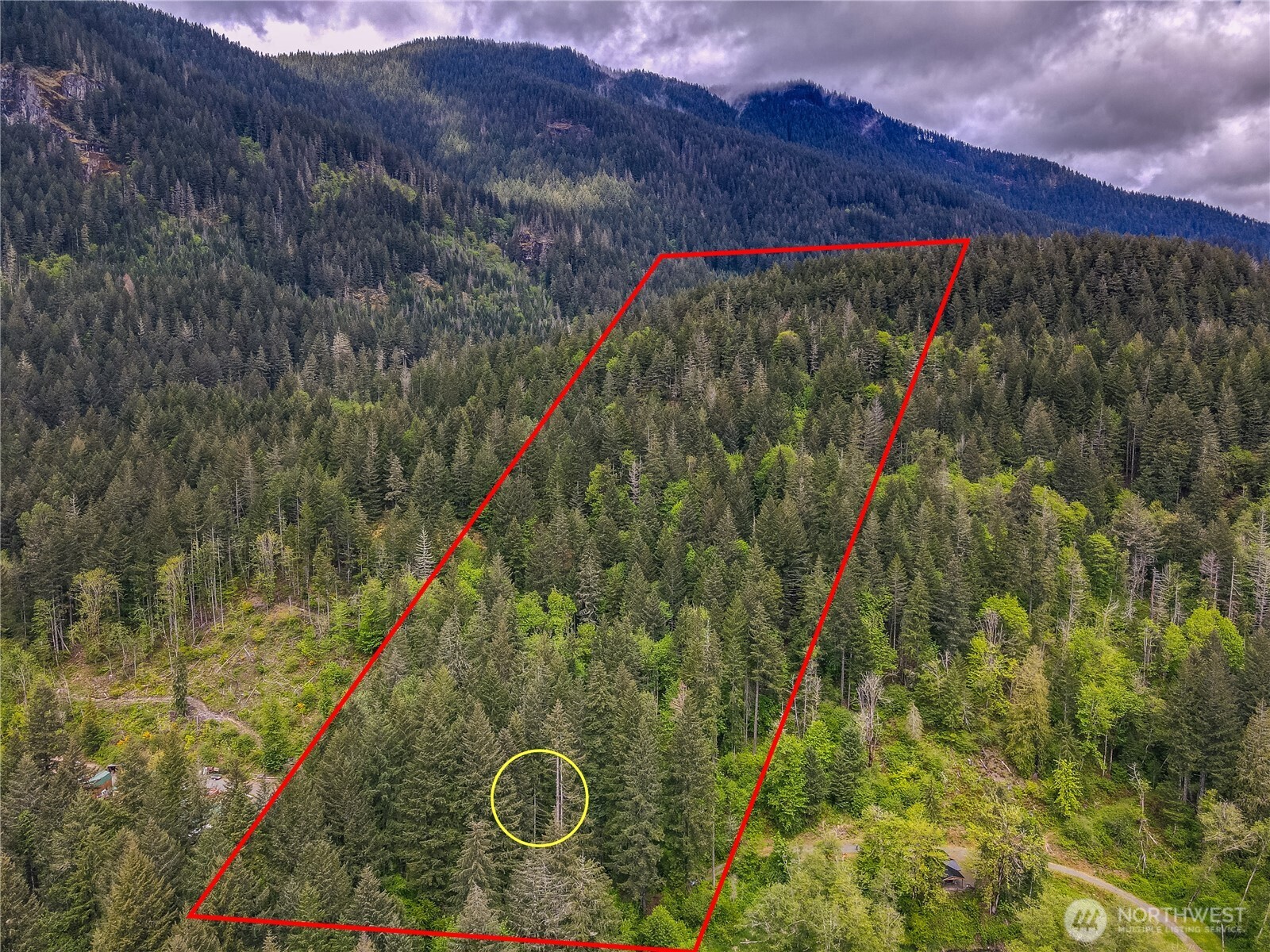 0 Carr Road White Pass WA 98937