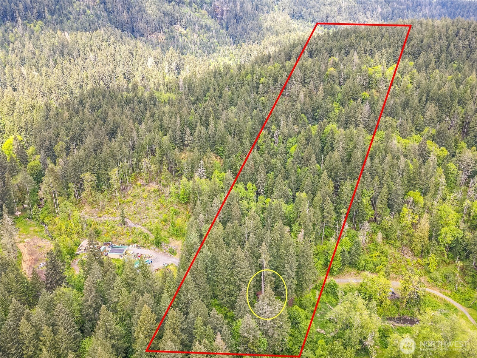 0 Carr Road White Pass WA 98937