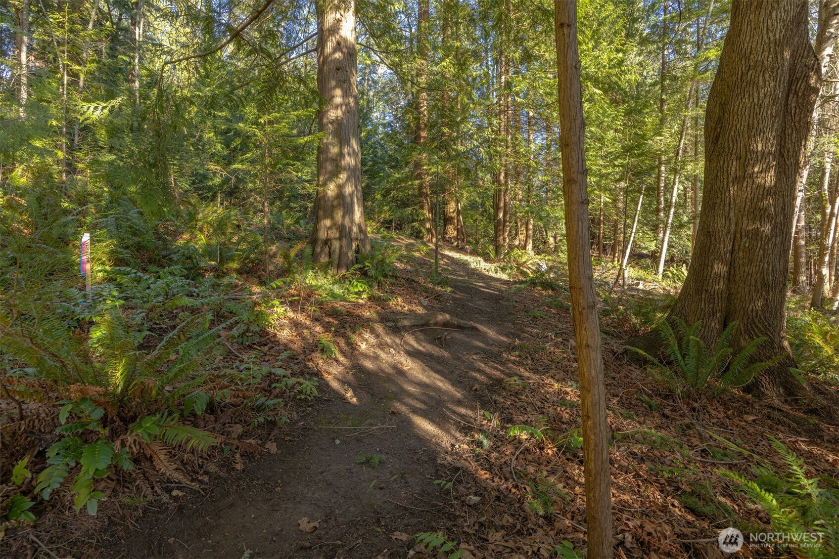 2111 Dellesta Drive Bellingham WA 98226