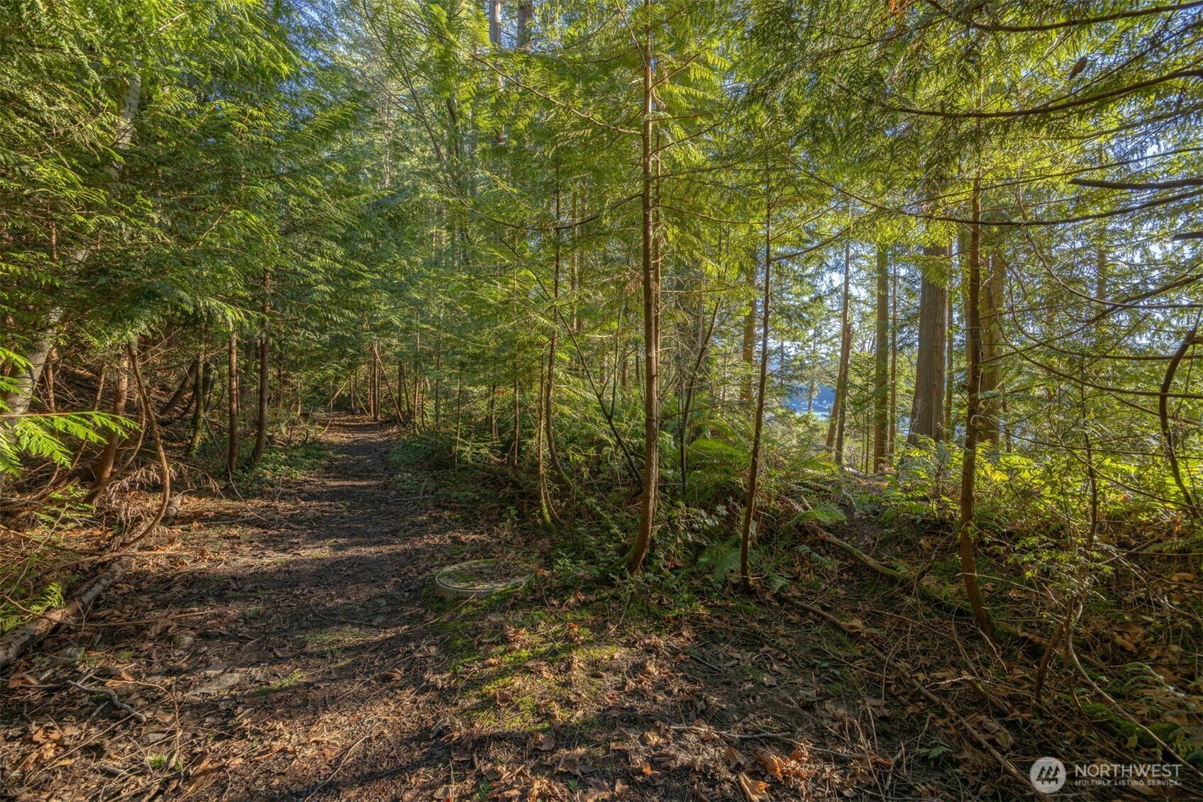 2111 Dellesta Drive Bellingham WA 98226