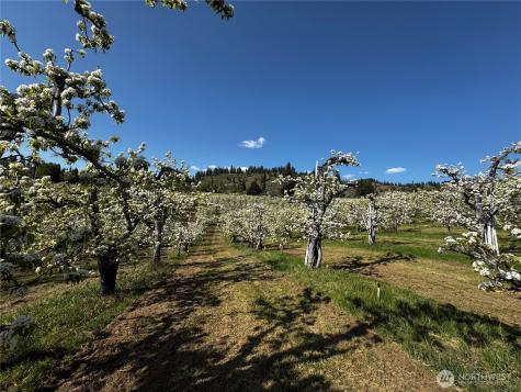 8612 Ludwig Hill Road Peshastin WA 98847