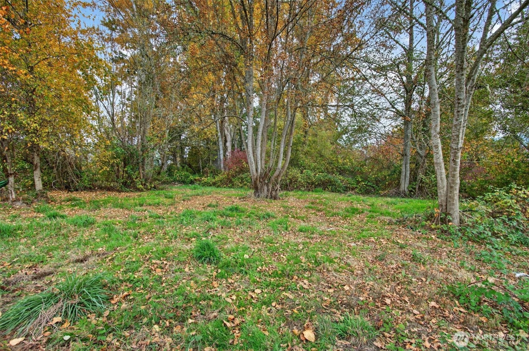 340 E Sunny Sands Road Cathlamet WA 98612