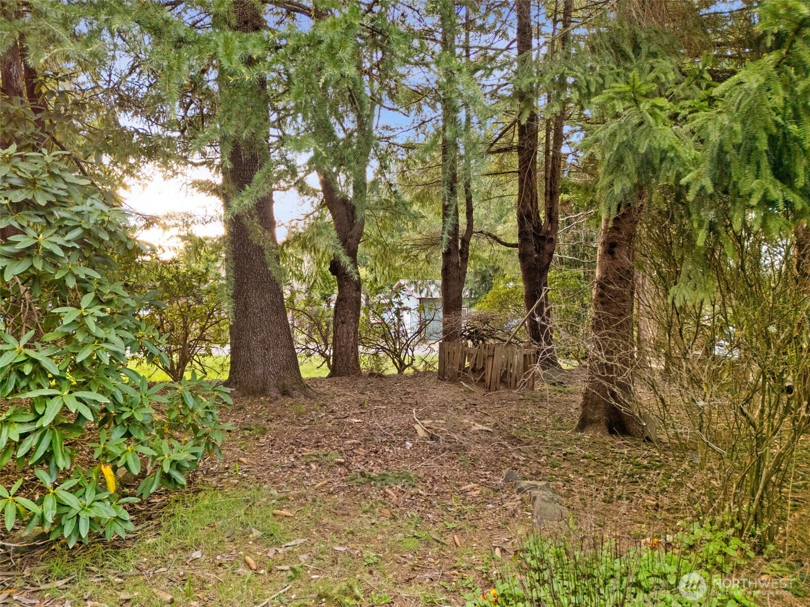 20 SE Cabana Avenue Shelton WA 98584