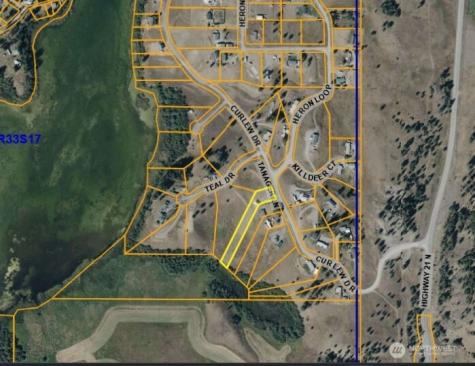6 Tanager Lane Republic WA 99166