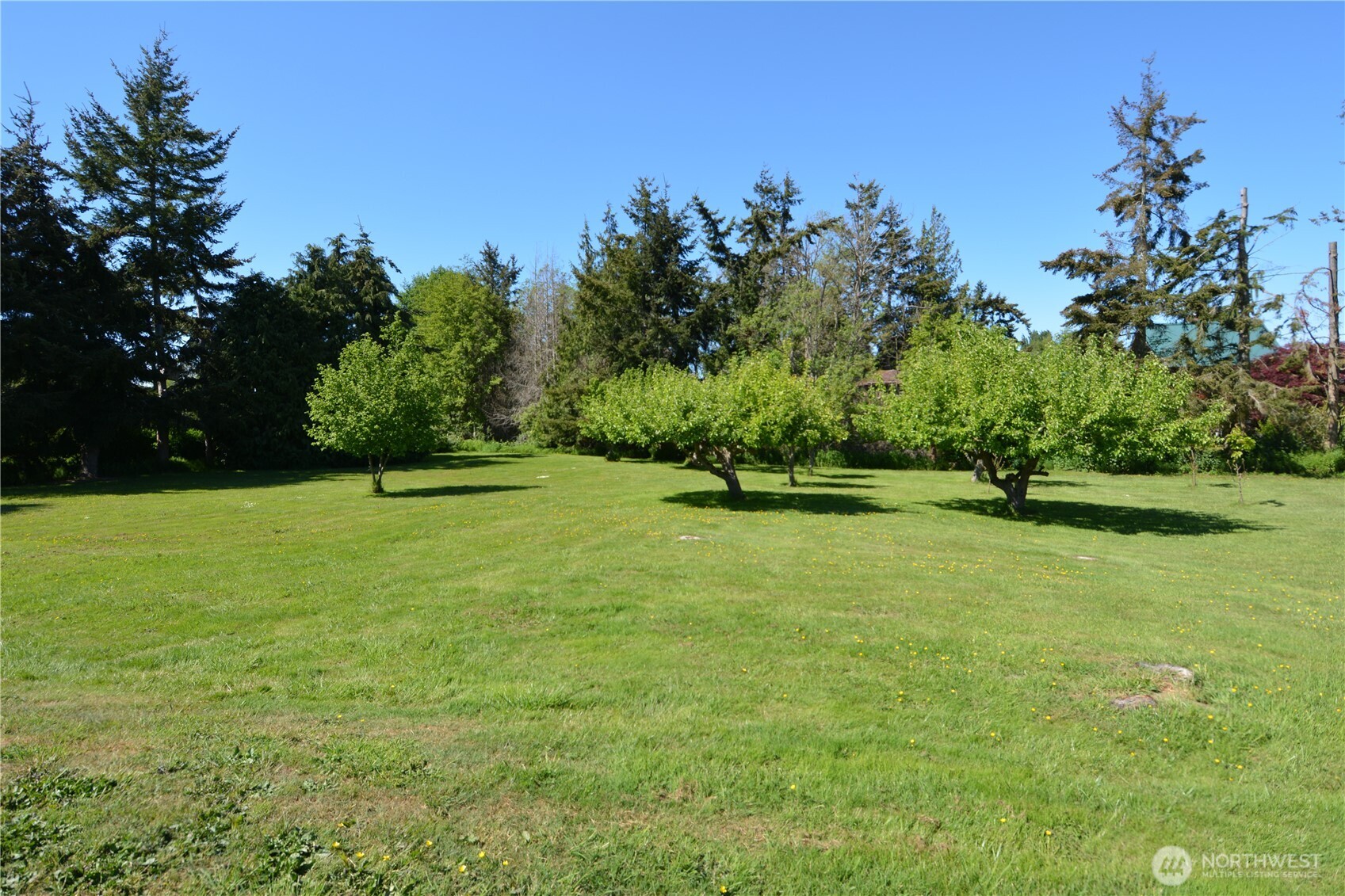 4495 Sequim Dungeness Way Sequim WA 98382