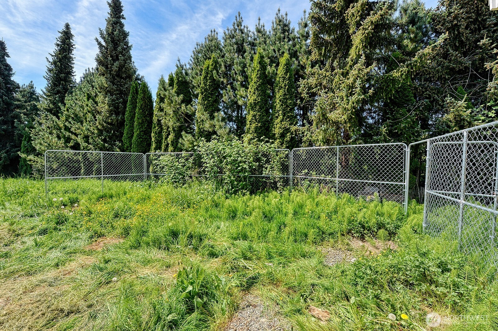 325 N Hawthorne Street Burlington WA 98233
