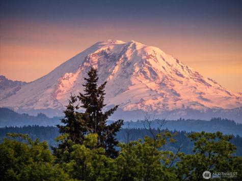 9236 NE 136 Place Kirkland WA 98034