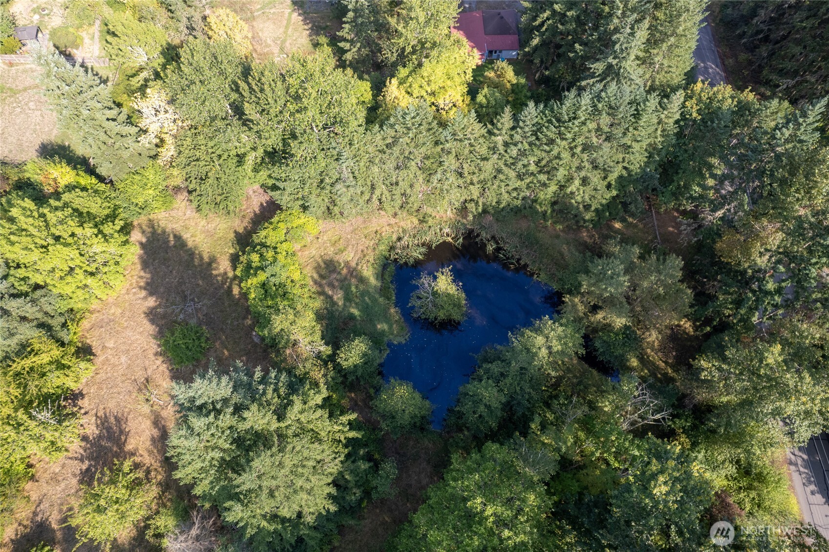 43103 Hilligoss Lane E Eatonville WA 98328
