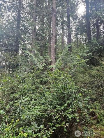 2277 Big Timber Place SE Port Orchard WA 98367