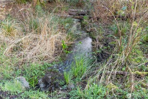 2929 S Fork Road Raymond WA 98577