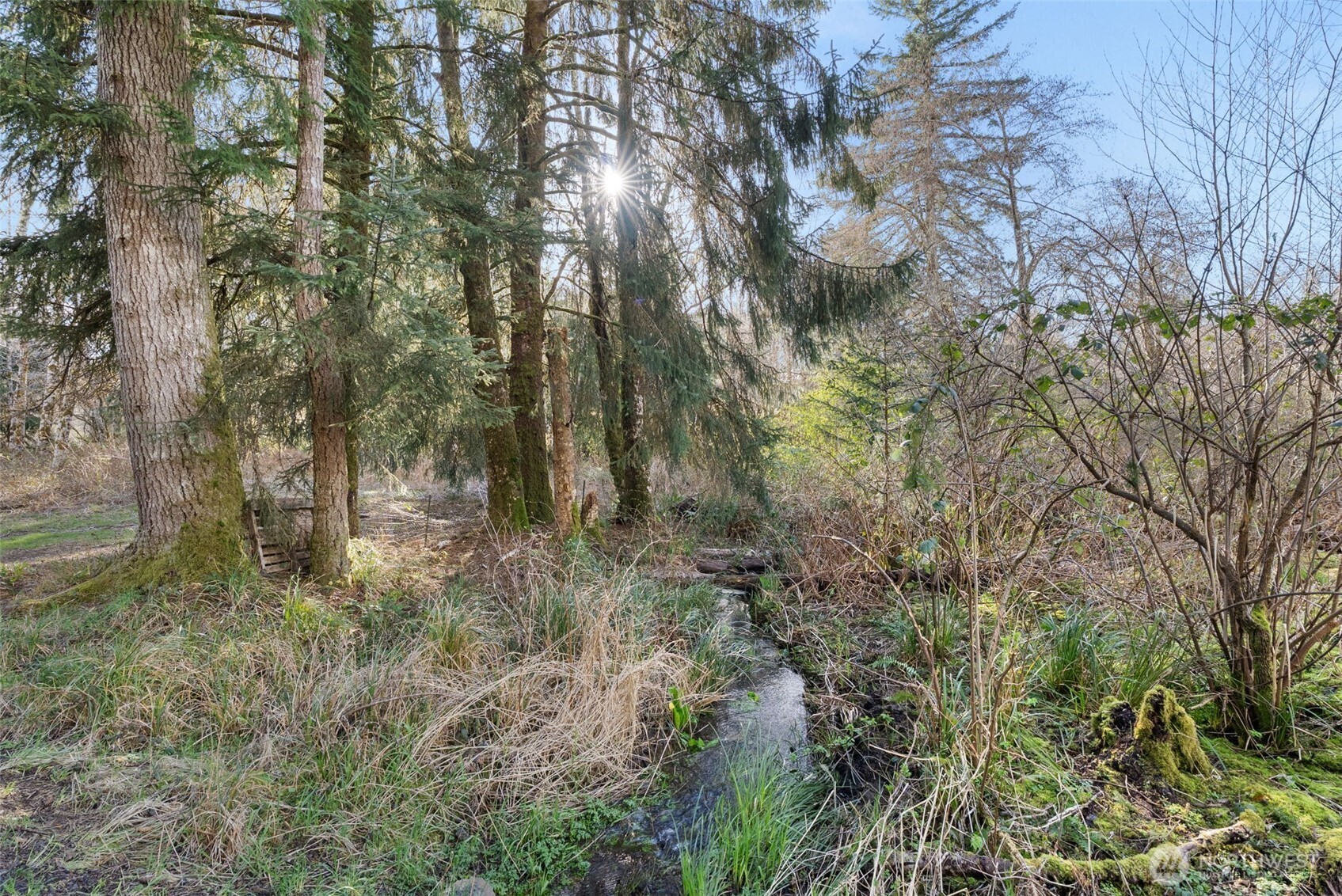2929 S Fork Road Raymond WA 98577