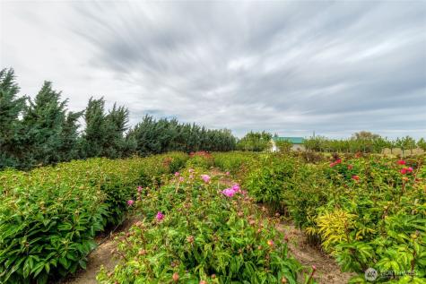 5736 Frog Hollow Road Touchet WA 99360