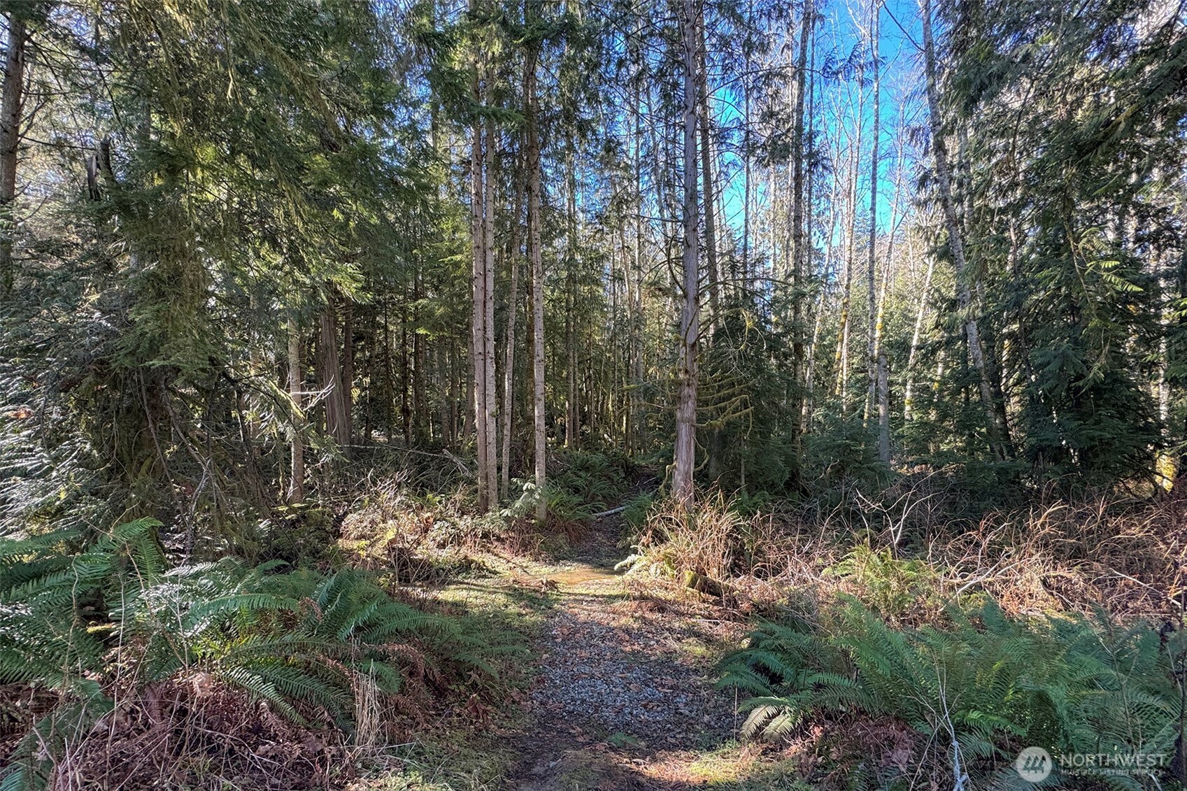 242 Watershed Road Port Angeles WA 98362