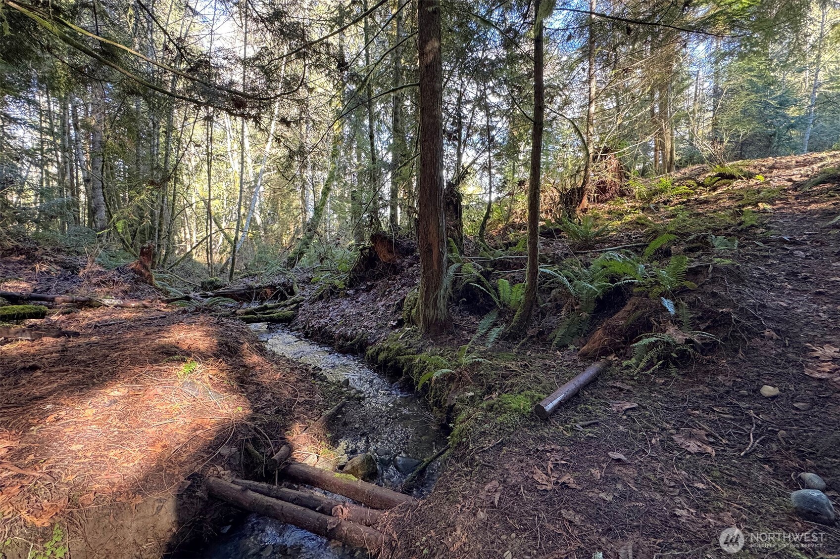 242 Watershed Road Port Angeles WA 98362