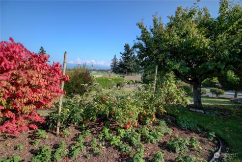 12166 Hilynn Drive Burlington WA 98233