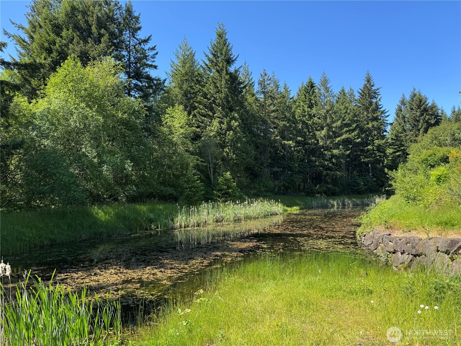 1711 Cyrene Drive NW Olympia WA 98502