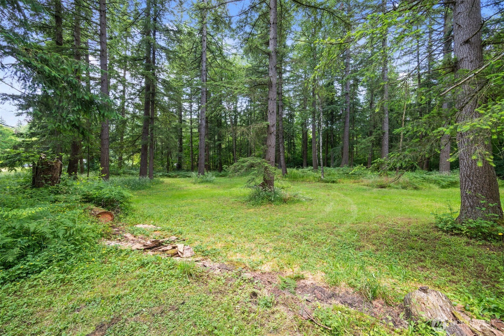 8143 Custer School Road Custer WA 98240