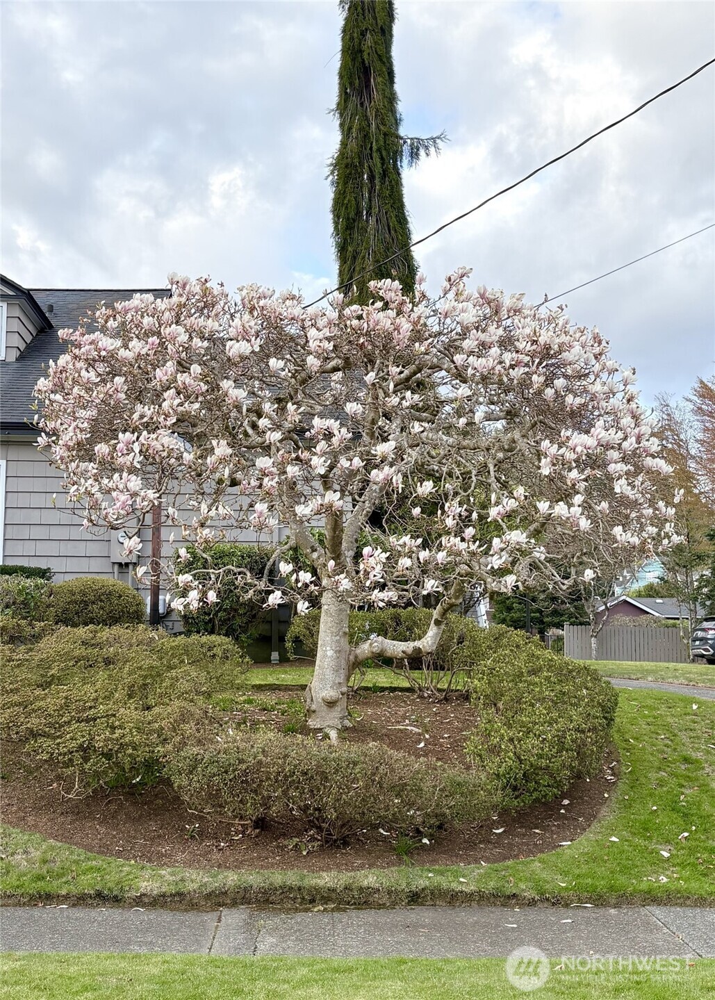 1100 N Broadway Aberdeen WA 98520