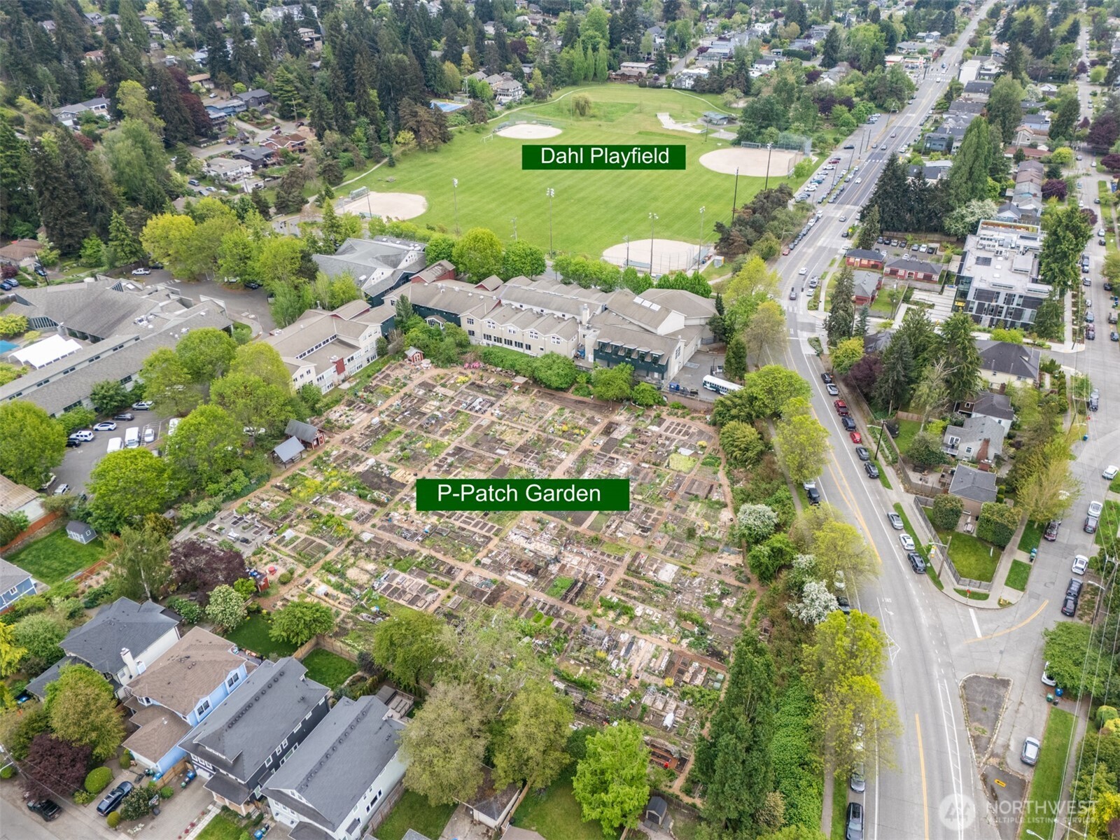 7338 23rd Avenue NE Seattle WA 98115
