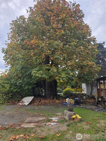 7610 Union Mills Road SE Lacey WA 98503