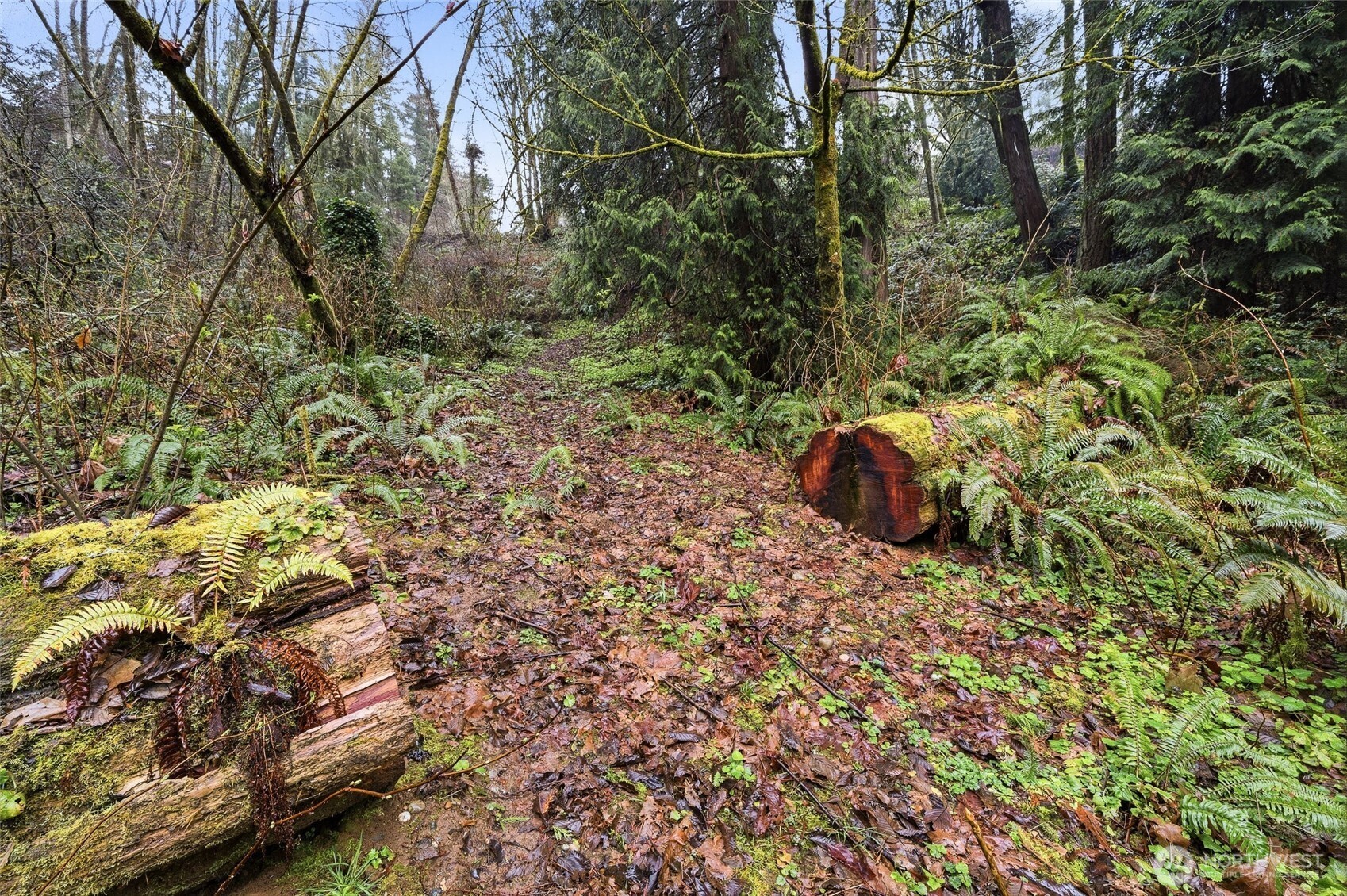6830 Norma Beach Road Edmonds WA 98026