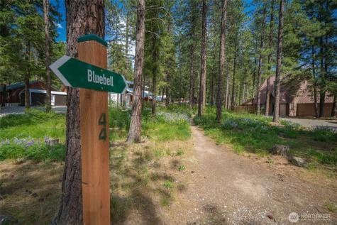 25312 Saddle Street Leavenworth WA 98826