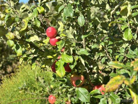 165 Swigert Mossyrock WA 98564