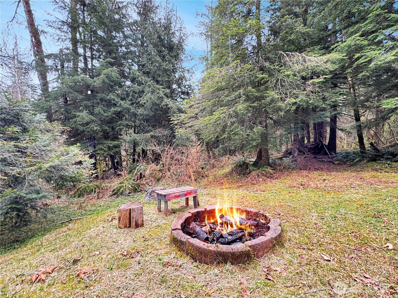 19 Big Tree Drive Deming WA 98244