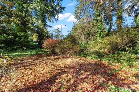 12117 SE 26th Street Bellevue WA 98005