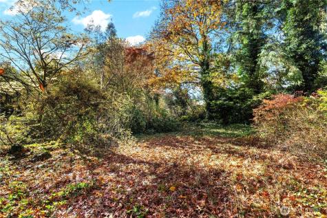 12117 SE 26th Street Bellevue WA 98005