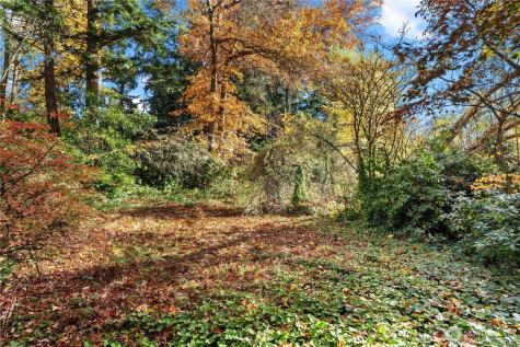 12117 SE 26th Street Bellevue WA 98005