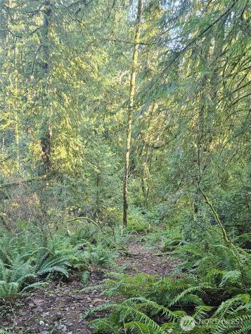 3519 130th Street NW Gig Harbor WA 98332