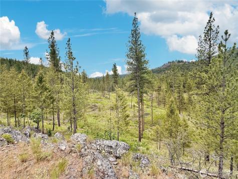 1942 Lyman Lake-moses Meadows Road Tonasket WA 98855