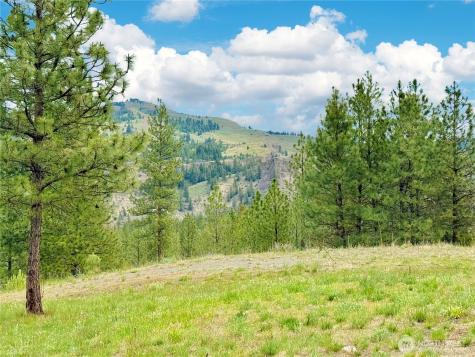 1942 Lyman Lake-moses Meadows Road Tonasket WA 98855