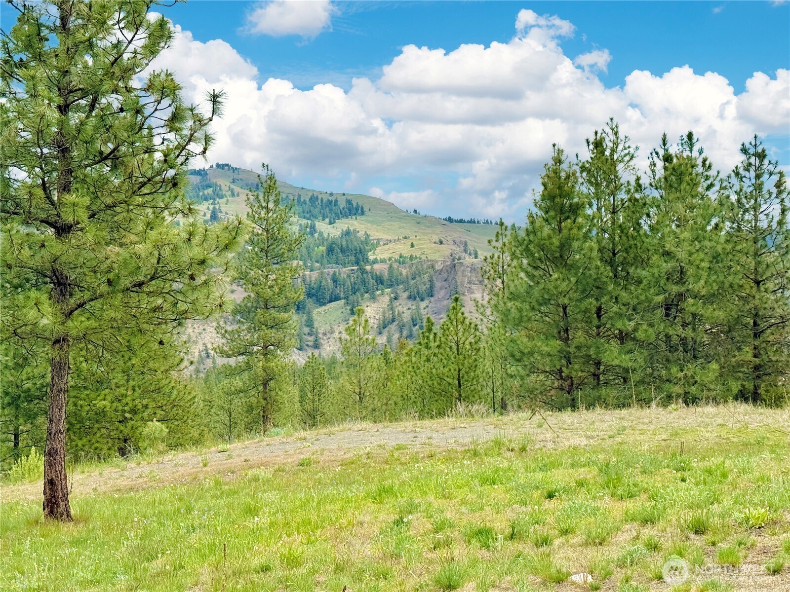 1942 Lyman Lake-moses Meadows Road Tonasket WA 98855
