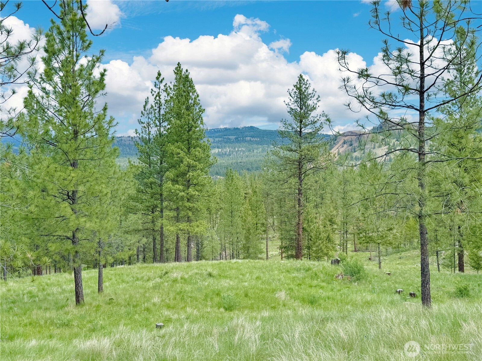 1942 Lyman Lake-moses Meadows Road Tonasket WA 98855