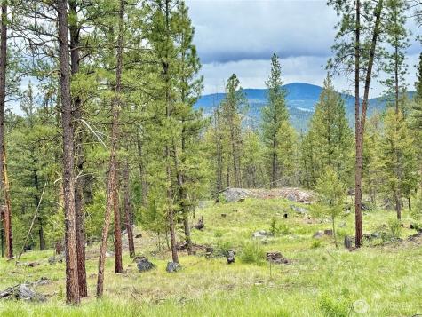 1942 Lyman Lake-moses Meadows Road Tonasket WA 98855