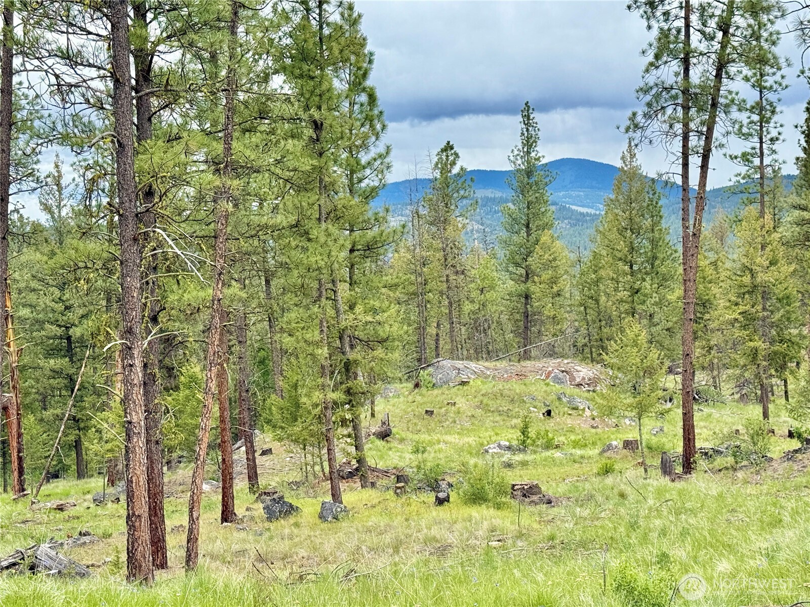 1942 Lyman Lake-moses Meadows Road Tonasket WA 98855