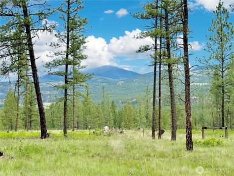 1942 Lyman Lake-moses Meadows Road Tonasket WA 98855