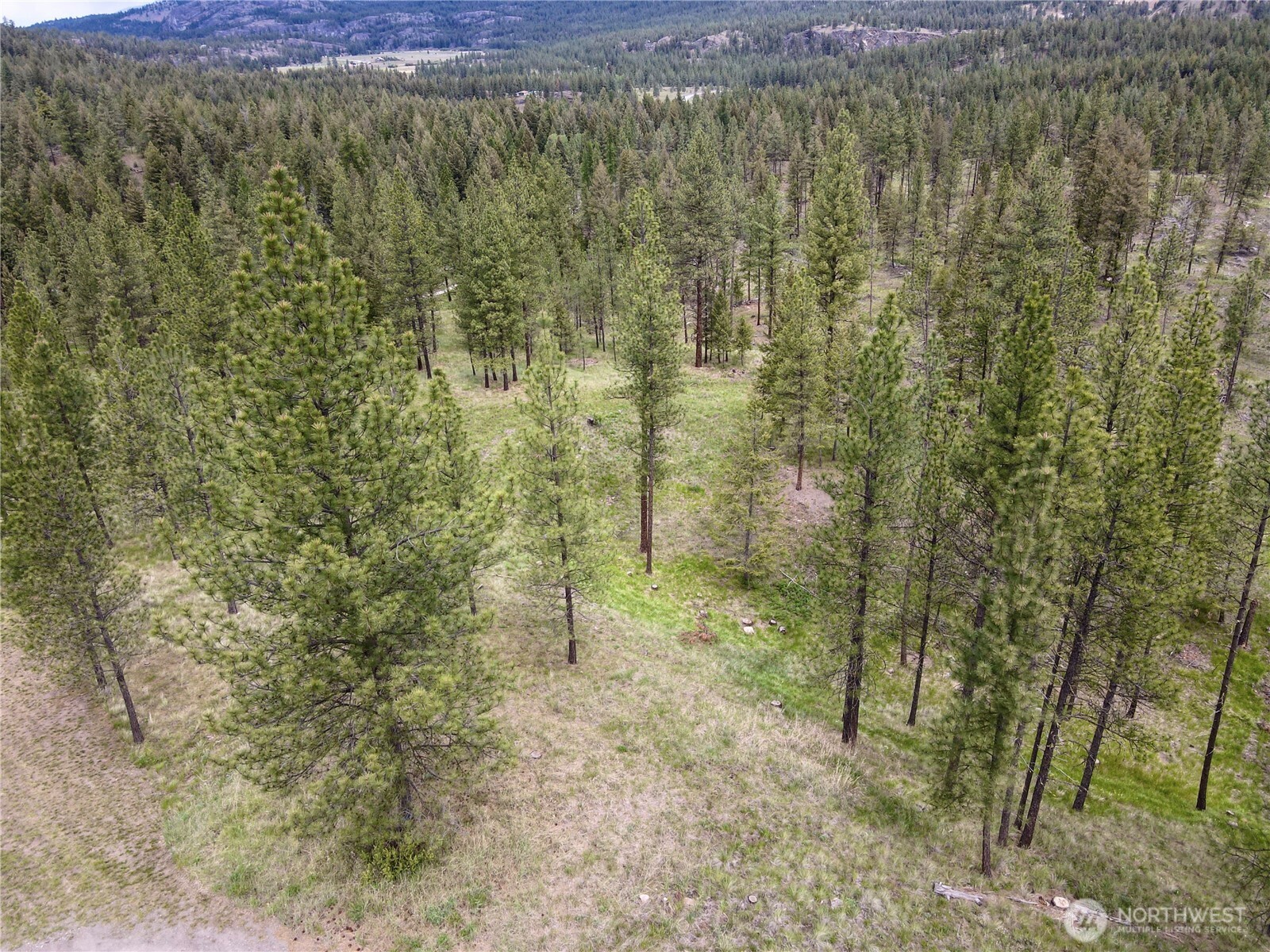 1942 Lyman Lake-moses Meadows Road Tonasket WA 98855