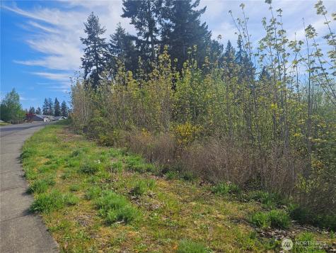 699 Myers Street SE Rainier WA 98576